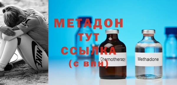 прущие грибы Волоколамск