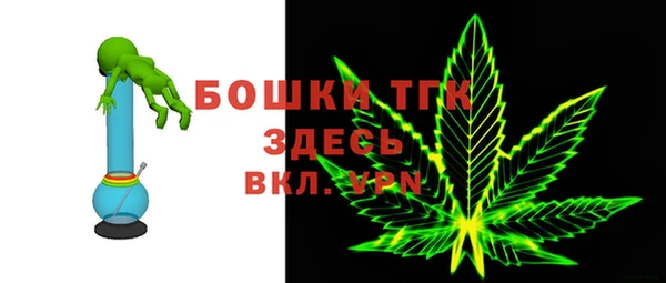 прущие грибы Волоколамск