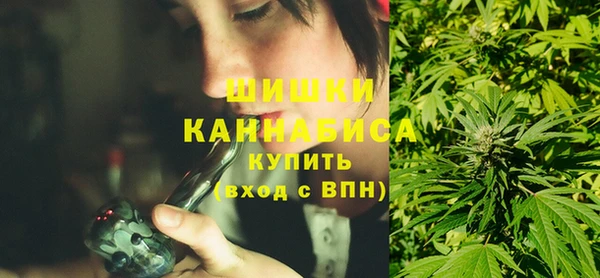 PSILOCYBIN Горнозаводск