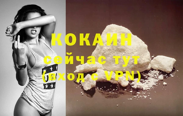 PSILOCYBIN Горнозаводск