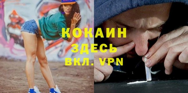 прущие грибы Волоколамск