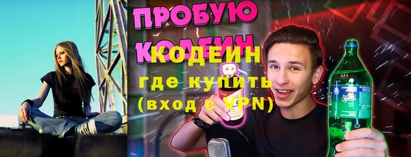 прущие грибы Волоколамск